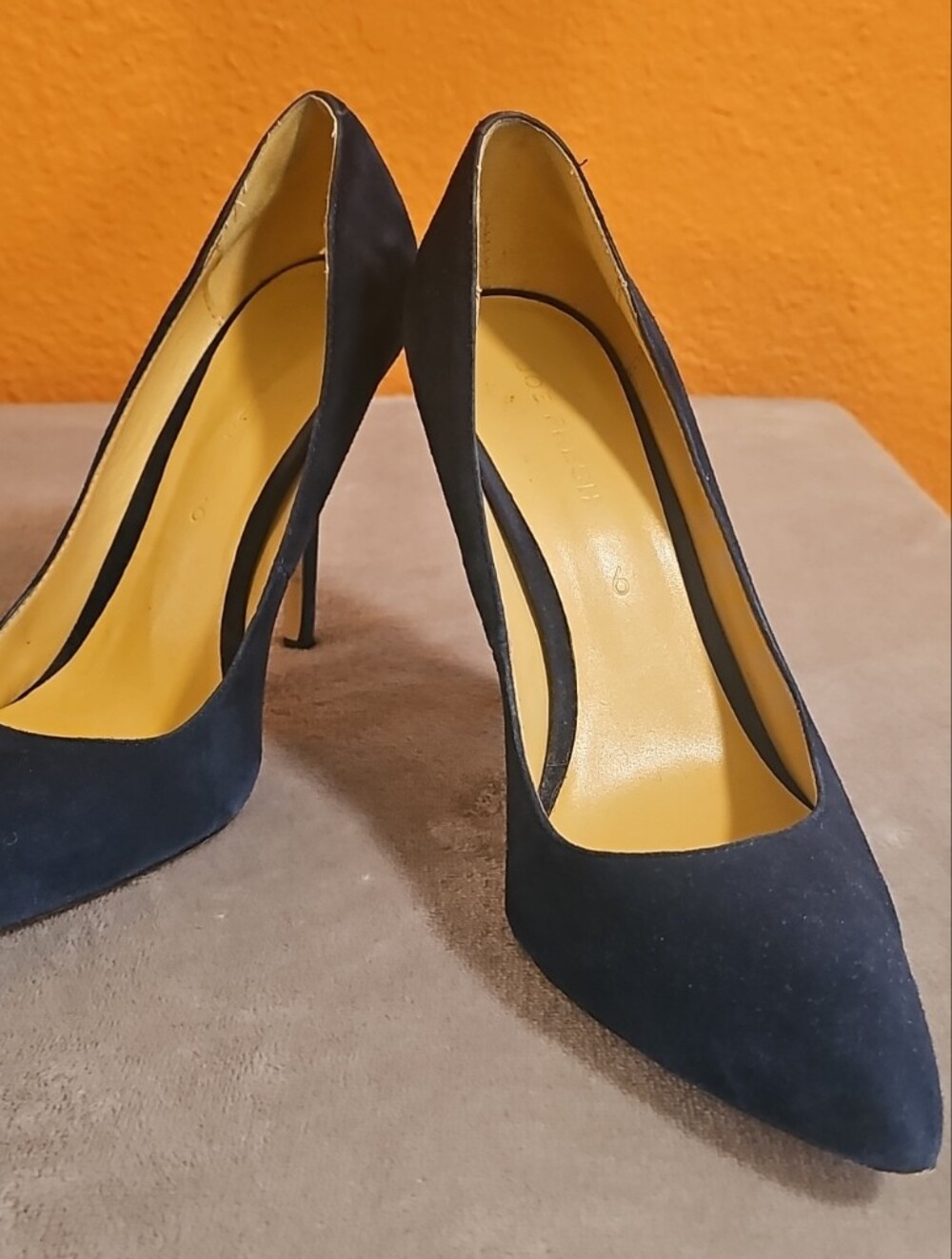 Stunning Classic Suede, Pointed Toe Women's Heels in Navy Blue